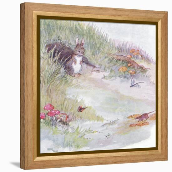 When I Was Very, Very Young-Anne Anderson-Framed Premier Image Canvas