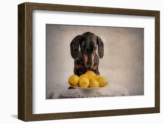 When Life Gives You Lemons...-Heike Willers-Framed Photographic Print