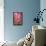 When my World is Pink-Philippe Sainte-Laudy-Framed Premier Image Canvas displayed on a wall