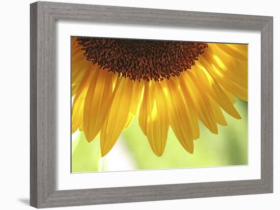 When Summer Comes-Incredi-Framed Photographic Print