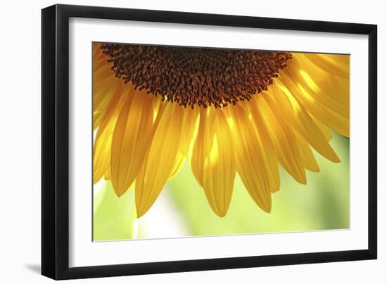 When Summer Comes-Incredi-Framed Photographic Print