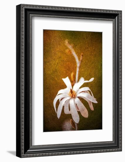 When Summer's Gone-Philippe Sainte-Laudy-Framed Photographic Print