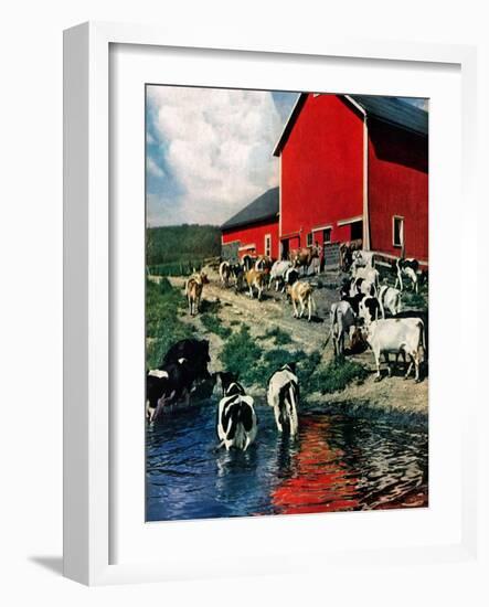 "When the Cows Come Home,"August 1, 1948-J. Julius Fanta-Framed Giclee Print