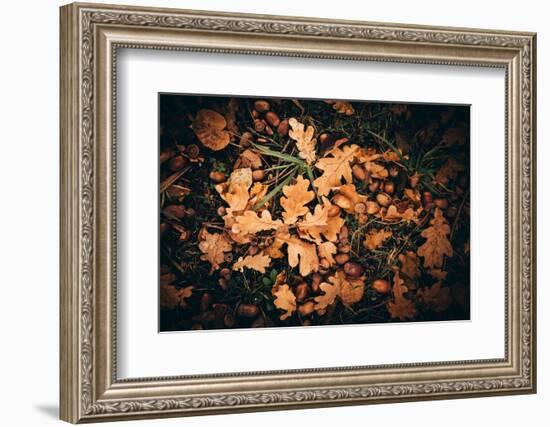 When the fruits of Autumn fall-Philippe Sainte-Laudy-Framed Photographic Print