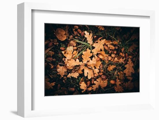 When the fruits of Autumn fall-Philippe Sainte-Laudy-Framed Photographic Print