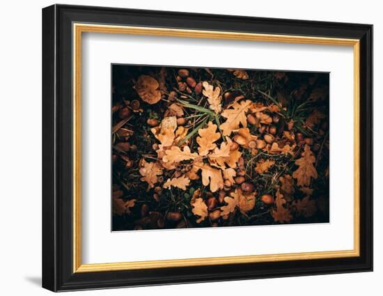 When the fruits of Autumn fall-Philippe Sainte-Laudy-Framed Photographic Print