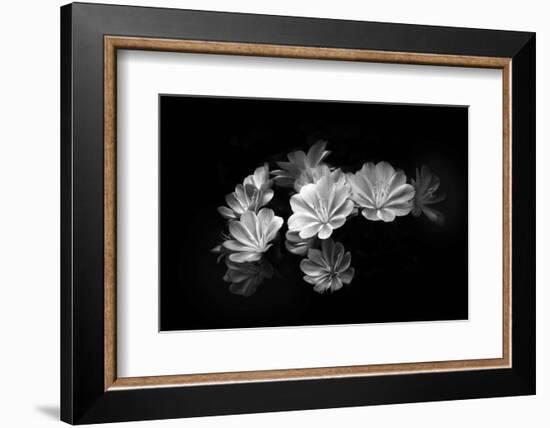 When the Lights Go Down-Philippe Sainte-Laudy-Framed Photographic Print
