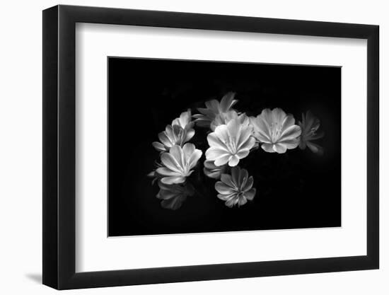 When the Lights Go Down-Philippe Sainte-Laudy-Framed Photographic Print