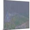 When the Wild Wind Blows II-Doug Chinnery-Mounted Photographic Print
