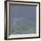 When the Wild Wind Blows II-Doug Chinnery-Framed Photographic Print