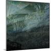 When the Wild Wind Blows-Doug Chinnery-Mounted Photographic Print