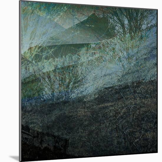 When the Wild Wind Blows-Doug Chinnery-Mounted Photographic Print