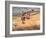 When Wagon Trails Were Dim-Charles Marion Russell-Framed Giclee Print