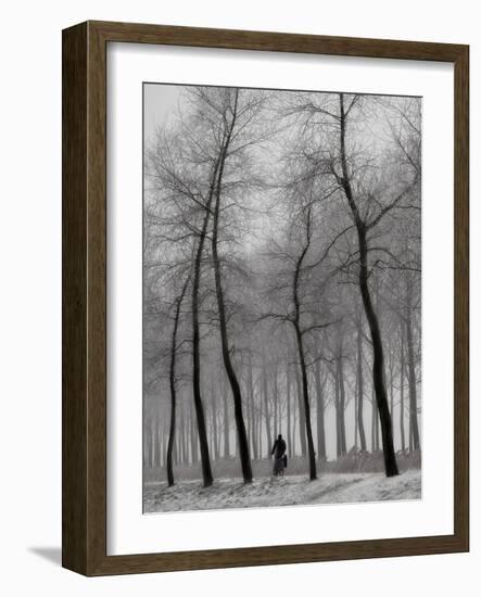 When Winter Knocks on the Door-Yvette Depaepe-Framed Photographic Print