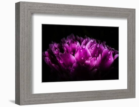 When Words Are Useless-Philippe Sainte-Laudy-Framed Photographic Print