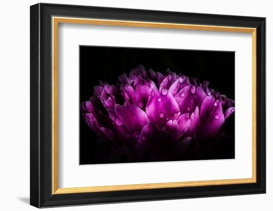 When Words Are Useless-Philippe Sainte-Laudy-Framed Photographic Print