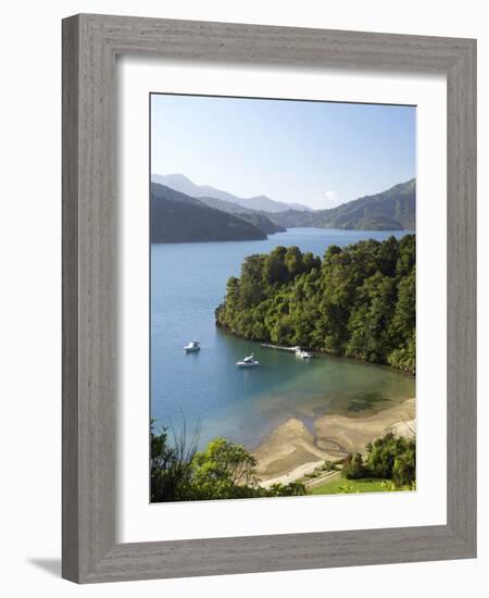 Whenuanui, Becks Bay, Marlborough Sounds, South Island, New Zealand-David Wall-Framed Photographic Print