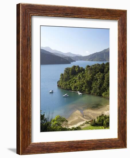 Whenuanui, Becks Bay, Marlborough Sounds, South Island, New Zealand-David Wall-Framed Photographic Print