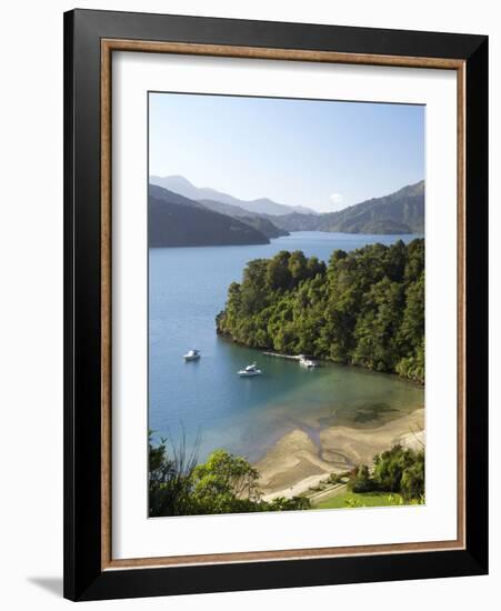 Whenuanui, Becks Bay, Marlborough Sounds, South Island, New Zealand-David Wall-Framed Photographic Print