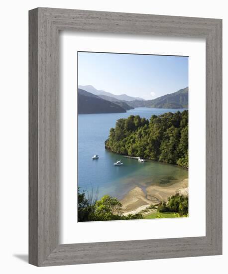 Whenuanui, Becks Bay, Marlborough Sounds, South Island, New Zealand-David Wall-Framed Photographic Print
