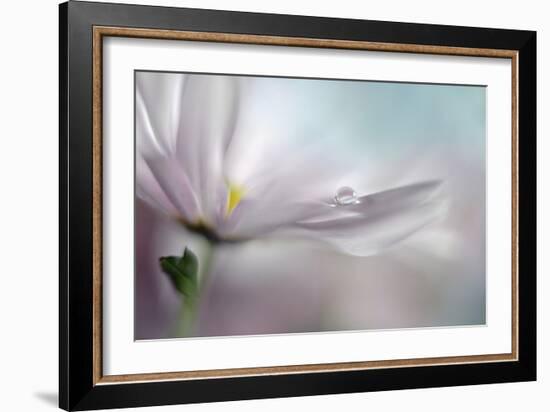 Where Dreams Come True-Heidi Westum-Framed Giclee Print