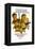 Where Eagles Dare, 1968-null-Framed Premier Image Canvas