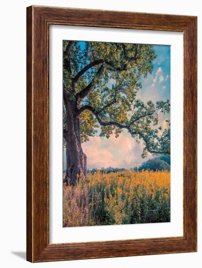 Where I Daydream-John Rivera-Framed Photographic Print