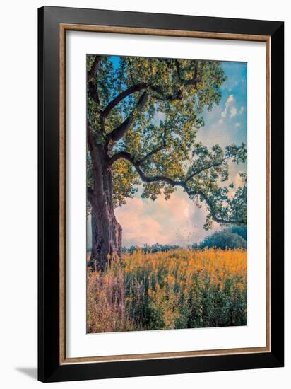 Where I Daydream-John Rivera-Framed Photographic Print