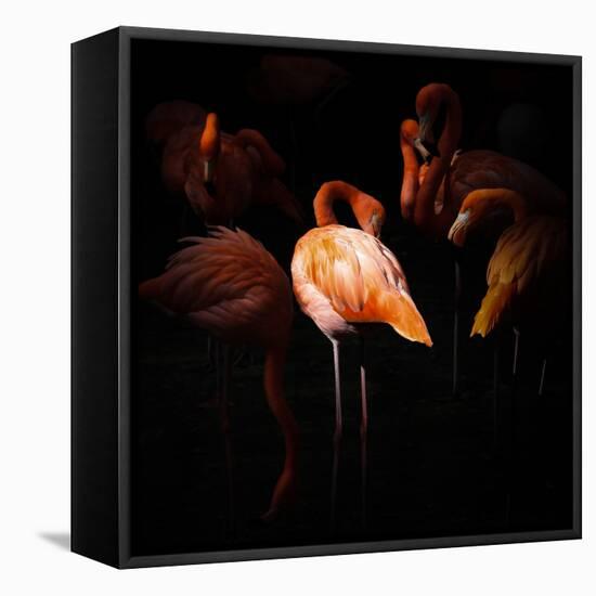 Where I Stood-Andreas Krinke-Framed Premier Image Canvas