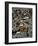 Where’s Waldo (color)-Barry Hart-Framed Giclee Print