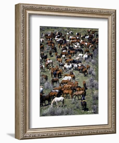 Where’s Waldo (color)-Barry Hart-Framed Art Print