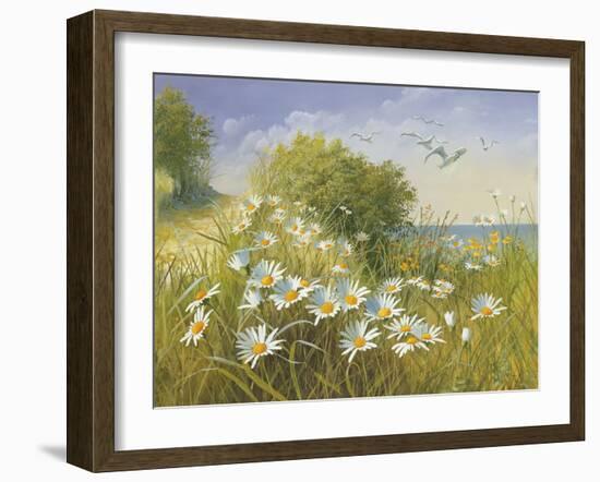 Where Seagulls Fly-Mary Dipnall-Framed Giclee Print