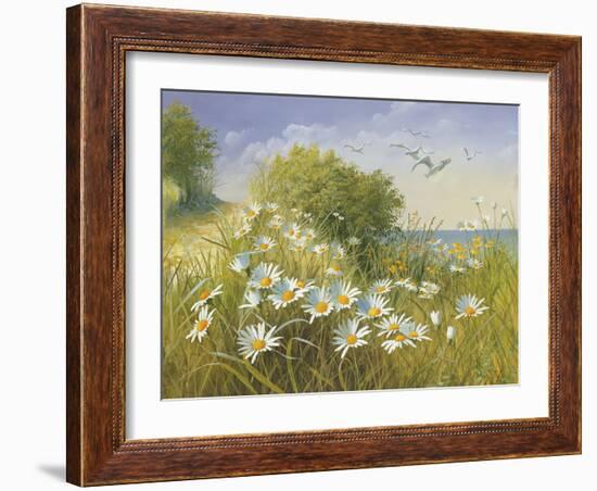 Where Seagulls Fly-Mary Dipnall-Framed Giclee Print