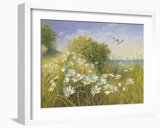 Where Seagulls Fly-Mary Dipnall-Framed Giclee Print