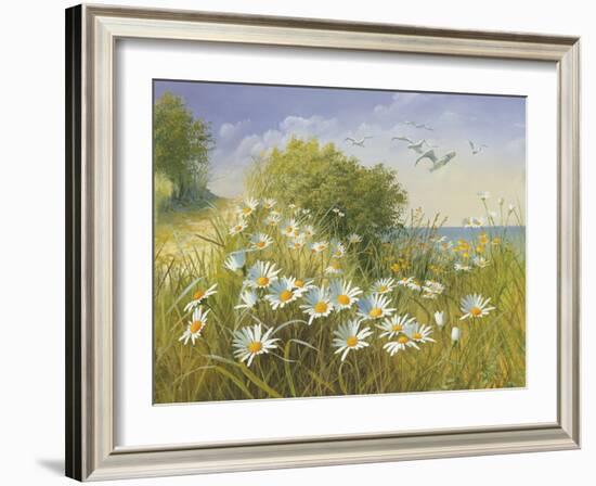 Where Seagulls Fly-Mary Dipnall-Framed Giclee Print