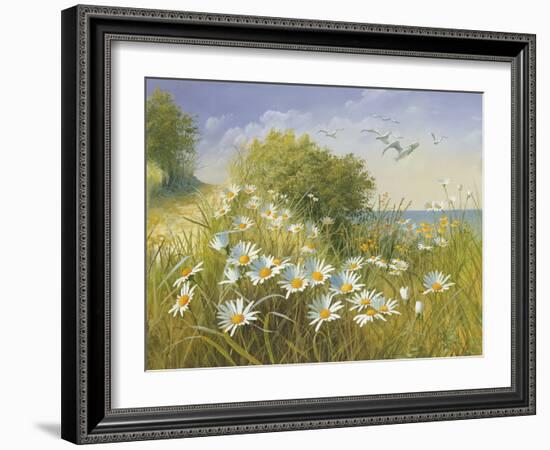 Where Seagulls Fly-Mary Dipnall-Framed Giclee Print