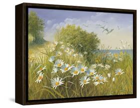 Where Seagulls Fly-Mary Dipnall-Framed Stretched Canvas