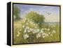 Where Seagulls Fly-Mary Dipnall-Framed Stretched Canvas