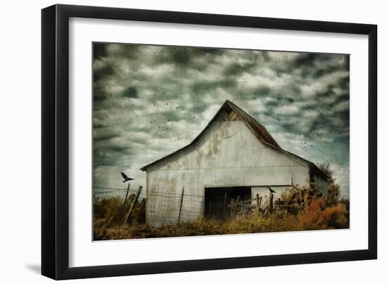 Where the Crows Roost in Autumn-Jai Johnson-Framed Giclee Print