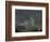 Where the Curlew Calls II-Doug Chinnery-Framed Photographic Print