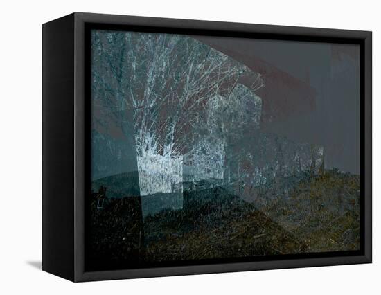 Where the Curlew Calls III-Doug Chinnery-Framed Premier Image Canvas