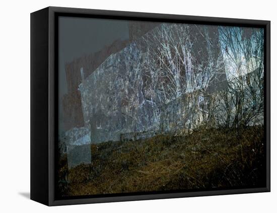 Where the Curlew Calls IV-Doug Chinnery-Framed Premier Image Canvas