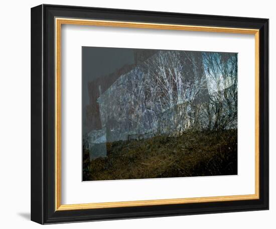 Where the Curlew Calls IV-Doug Chinnery-Framed Photographic Print