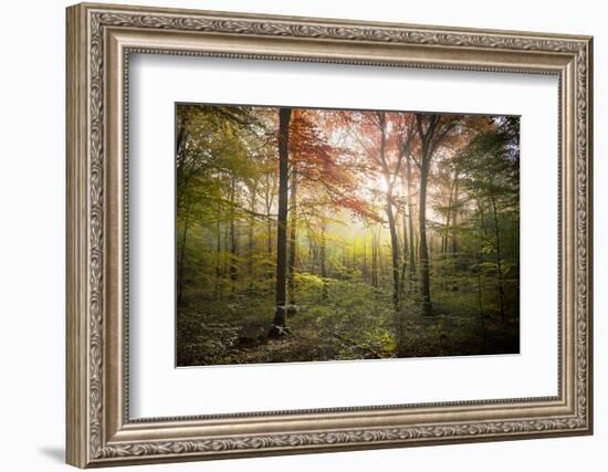 Where the Fairies Live-Philippe Manguin-Framed Photographic Print