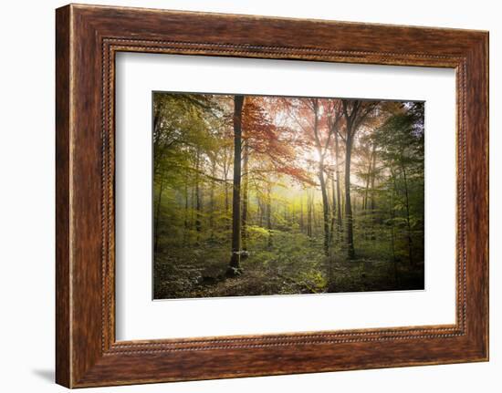 Where the Fairies Live-Philippe Manguin-Framed Photographic Print