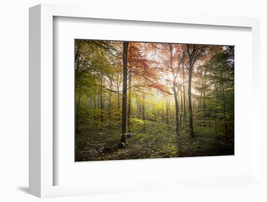 Where the Fairies Live-Philippe Manguin-Framed Photographic Print