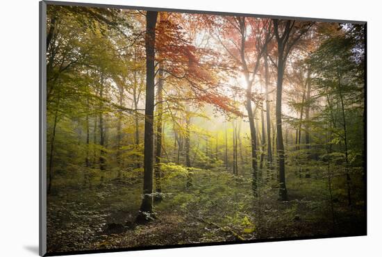 Where the Fairies Live-Philippe Manguin-Mounted Photographic Print