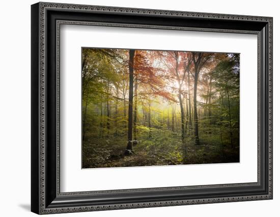 Where the Fairies Live-Philippe Manguin-Framed Photographic Print