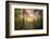 Where the Fairies Live-Philippe Manguin-Framed Photographic Print