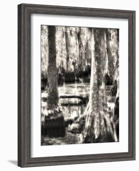 Where the Fairies Play-Christy Ann-Framed Giclee Print